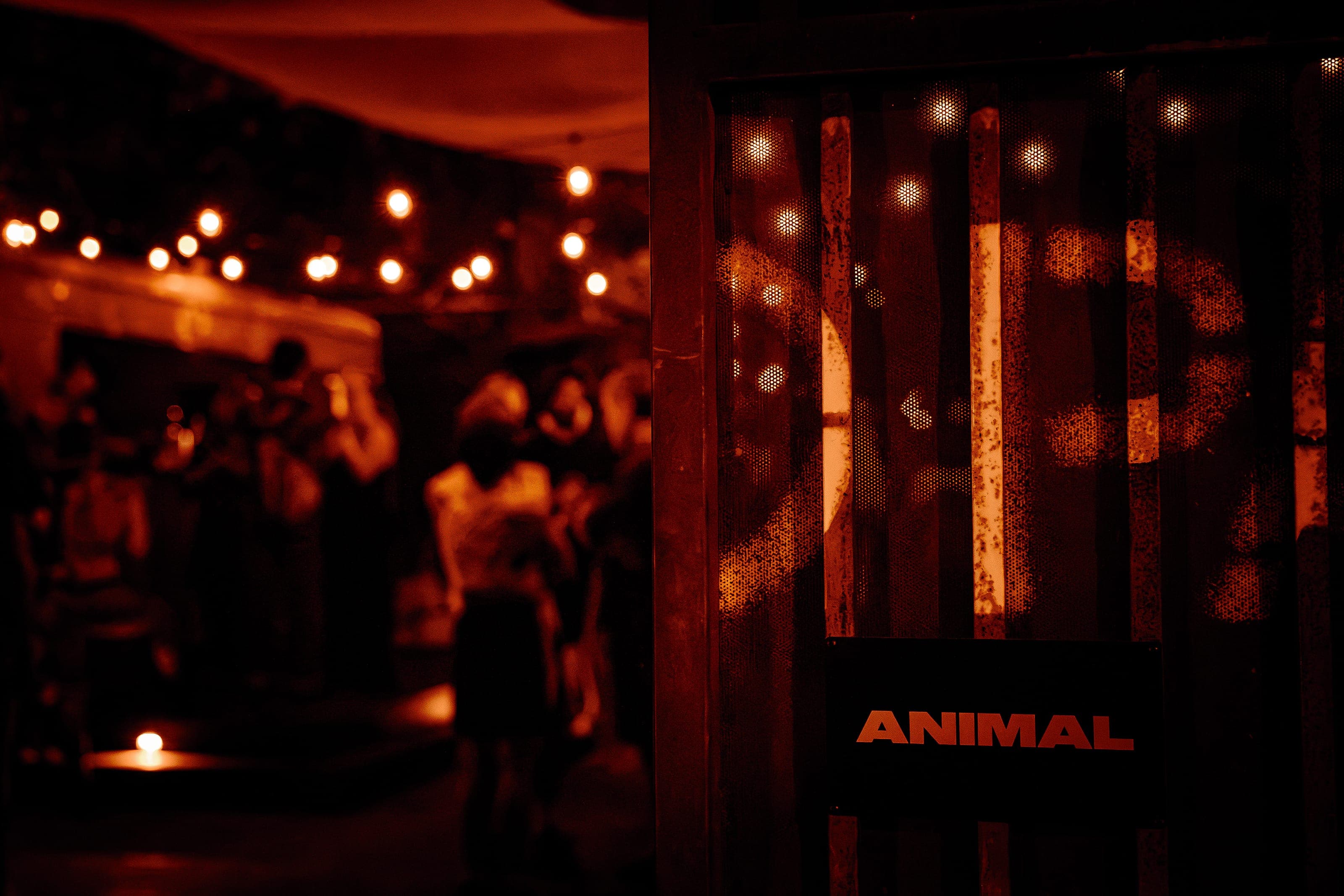 Courtyard string lights and a blurred dancing crowd behind a wooden gate with the ANIMAL sign