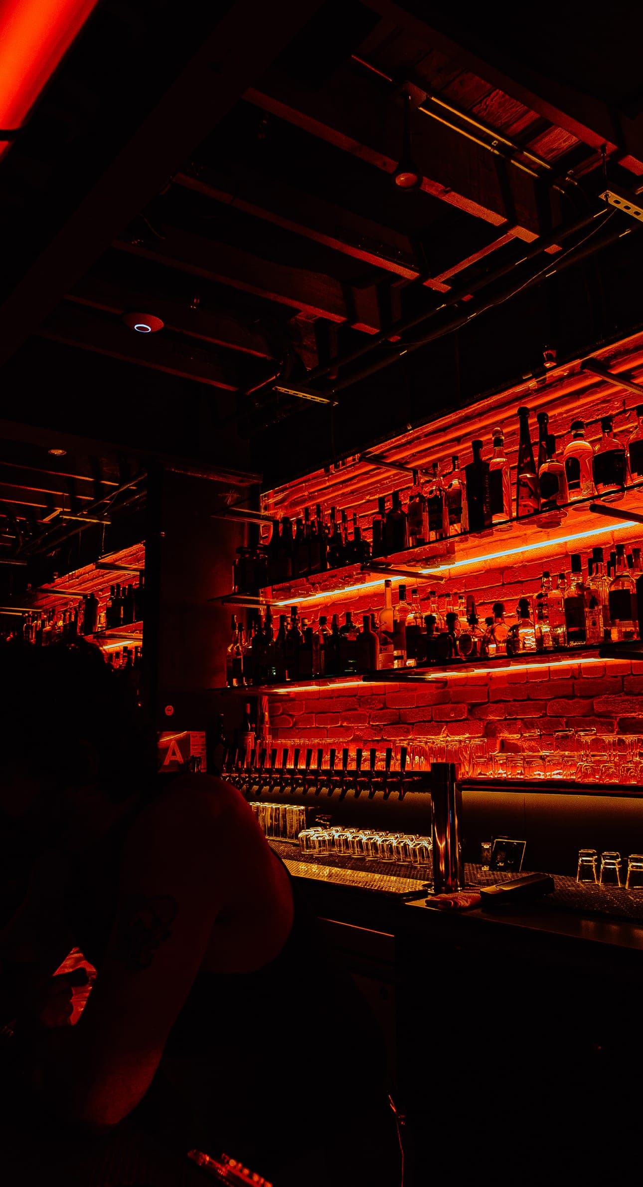 The glowing red-lit back bar at Animal LA, shelves of bottles under neon strips