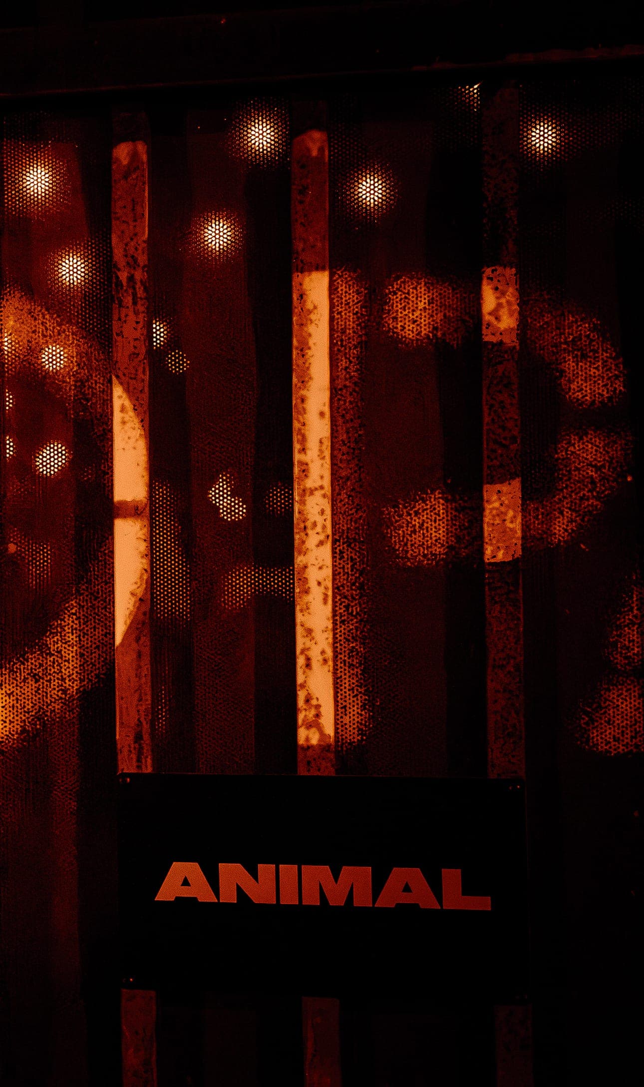The ANIMAL sign on a wooden gate, backlit by courtyard string lights